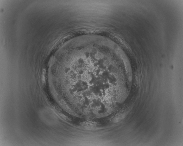 X0000082740691200702091904