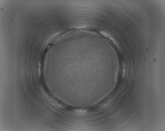 X0000082740692200702091904