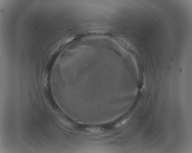 X0000082740693200702091904