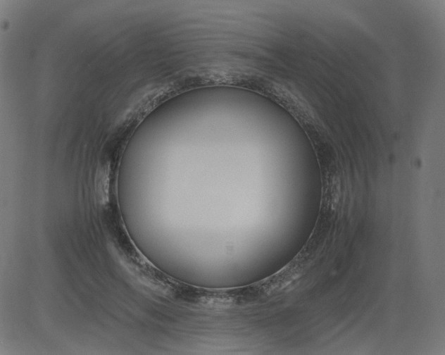 X0000082740694200702091904