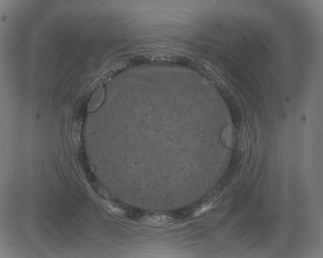 X0000082740695200702091904