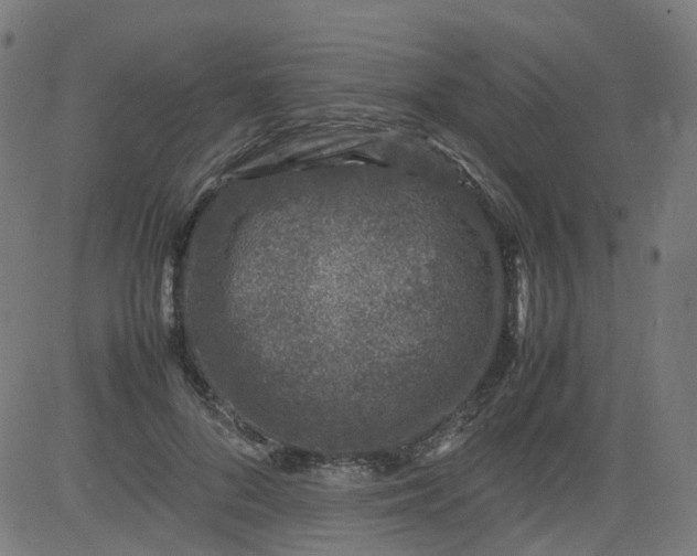 X0000082740696200702091903