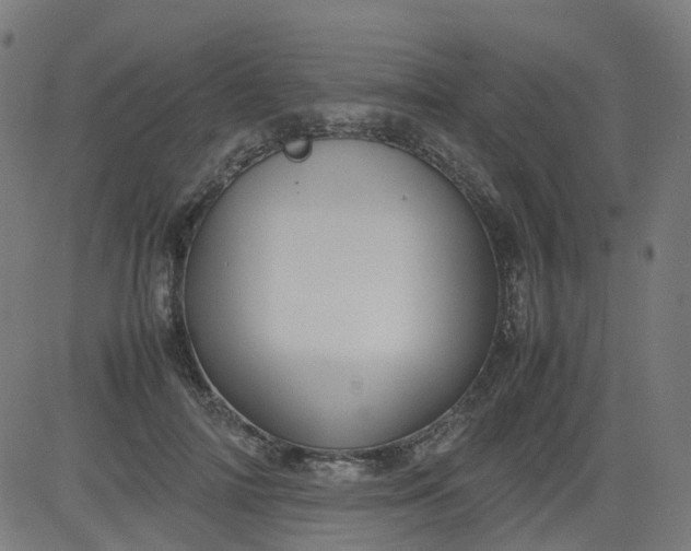 X0000082740698200702091903