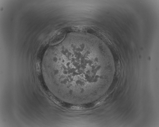 X0000082740699200702091903