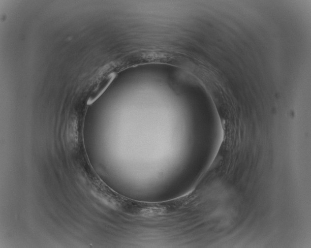 X0000082740700200702091903