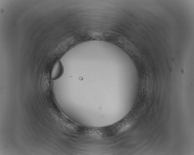 X0000082740702200702091903