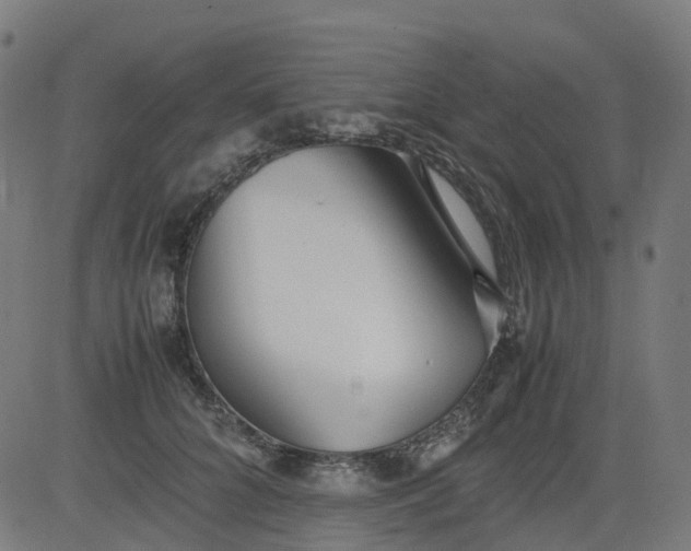 X0000082740704200702091903