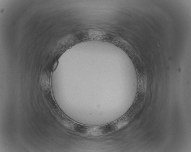 X0000082740705200702091903