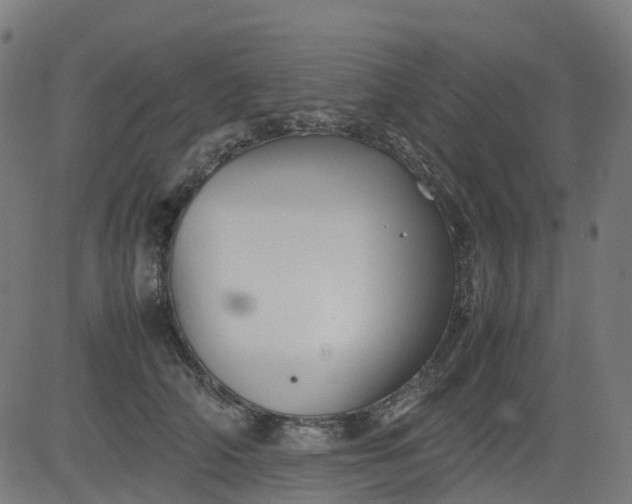 X0000082740706200702091903