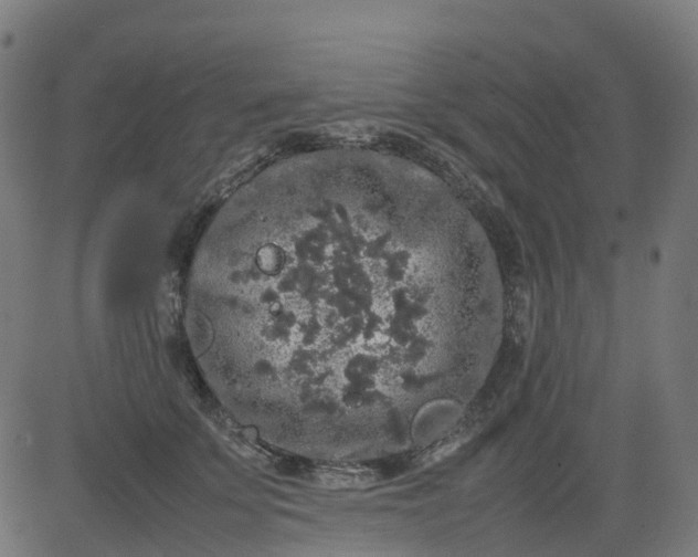 X0000082740707200702091903