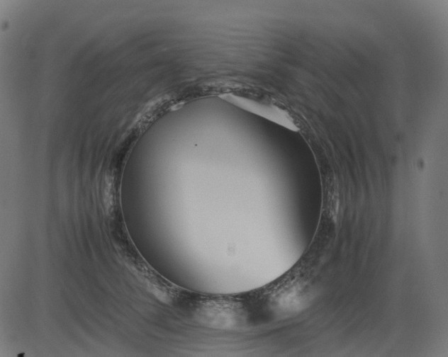 X0000082740708200702091903