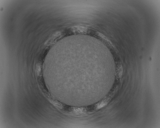 X0000082740709200702091903