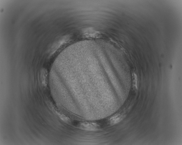 X0000082740712200702091903