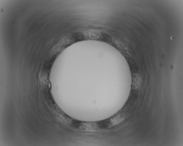 X0000082740713200702091903