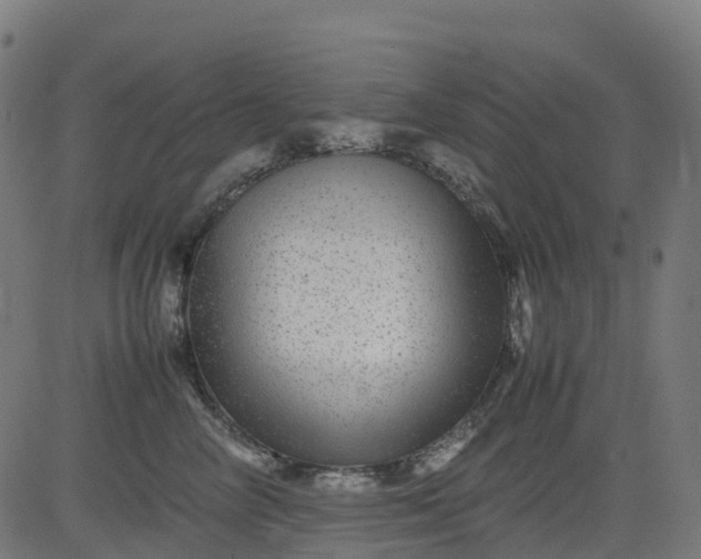 X0000082740714200702091903