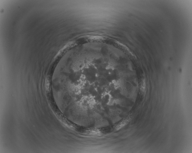 X0000082740715200702091903