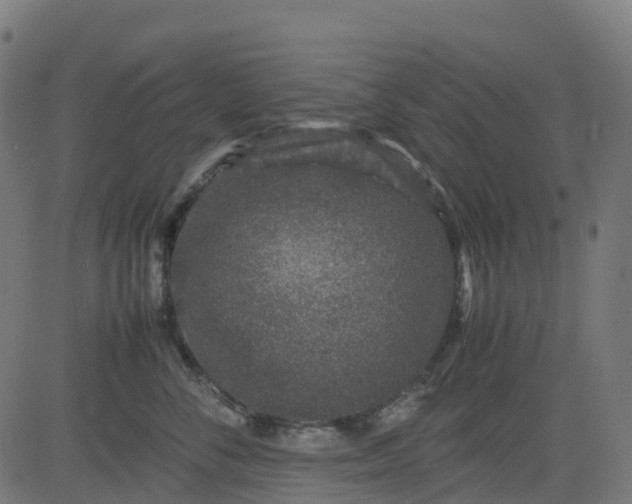 X0000082740716200702091903