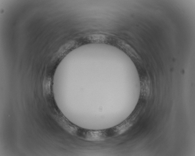 X0000082740717200702091903