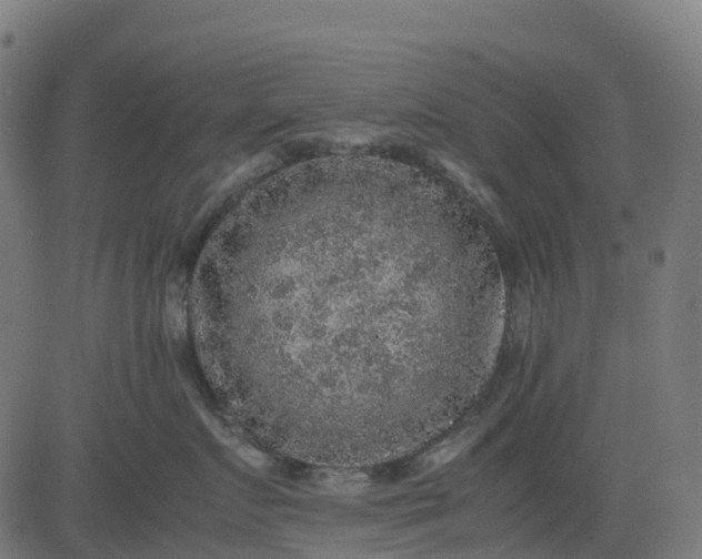 X0000082740719200702091903