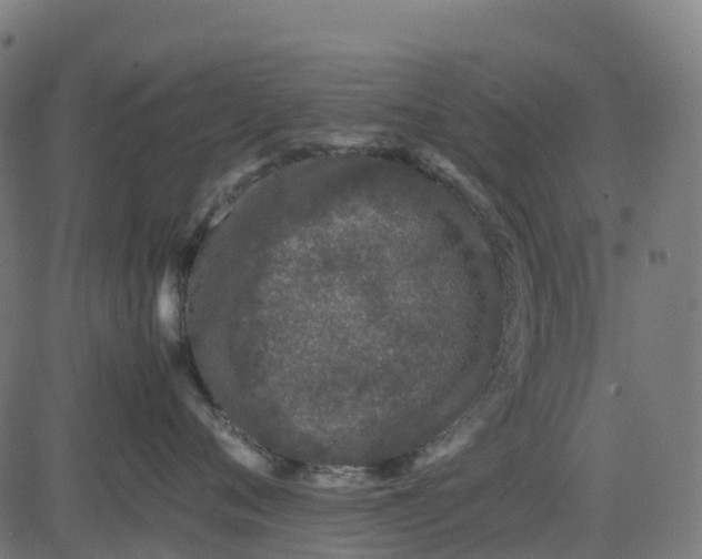 X0000082740720200702091903