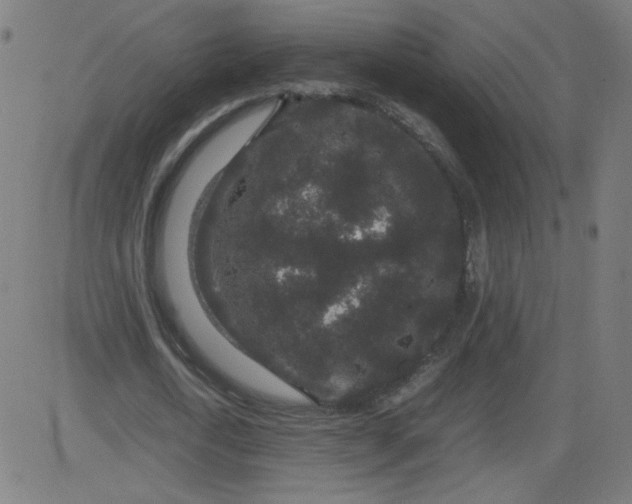 X0000082740722200702091902