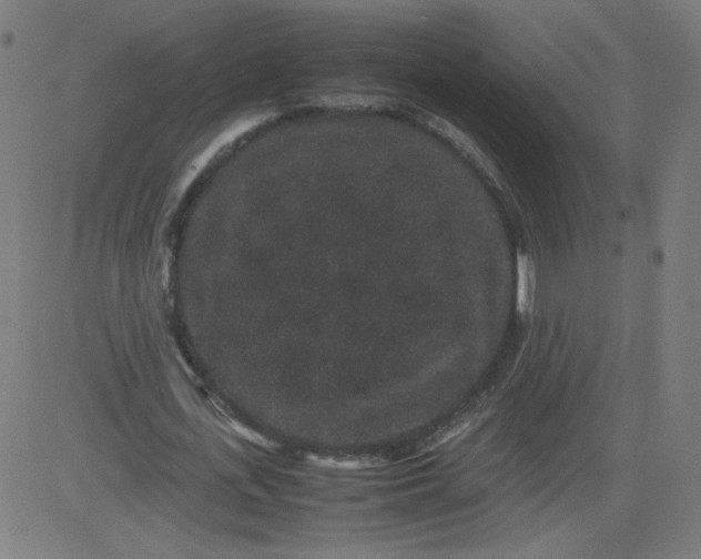 X0000082740723200702091902