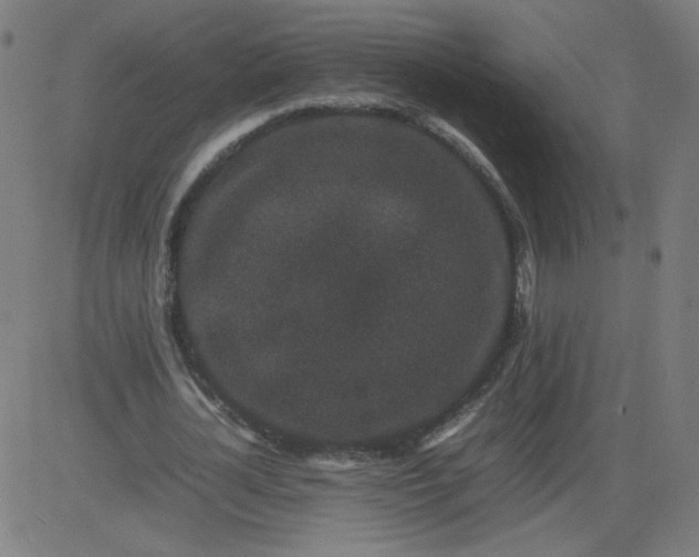 X0000082740724200702091902