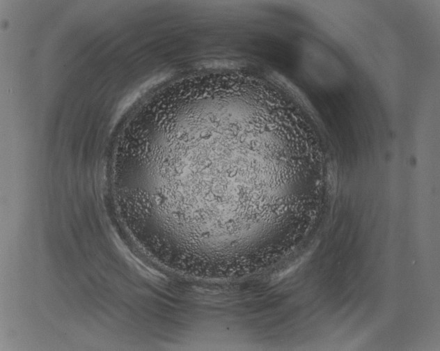 X0000082740725200702091902