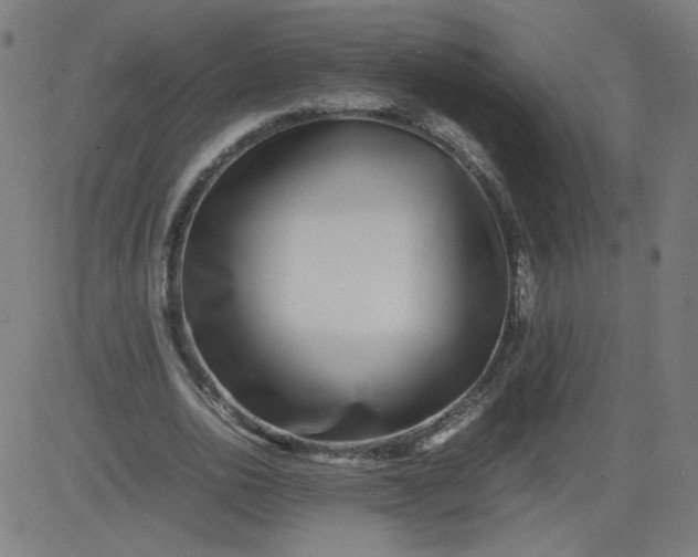 X0000082740726200702091902