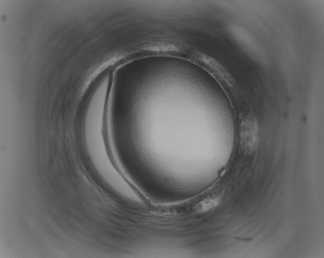 X0000082740727200702091902