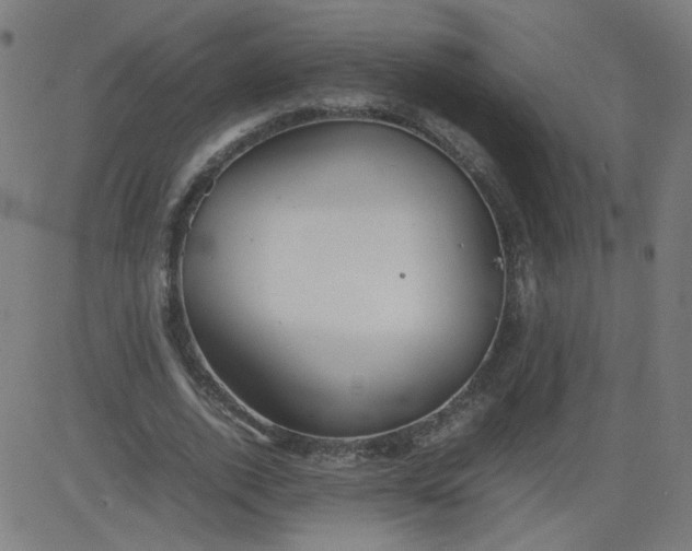 X0000082740728200702091902