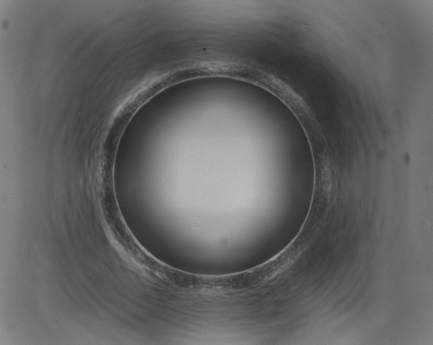 X0000082740730200702091902