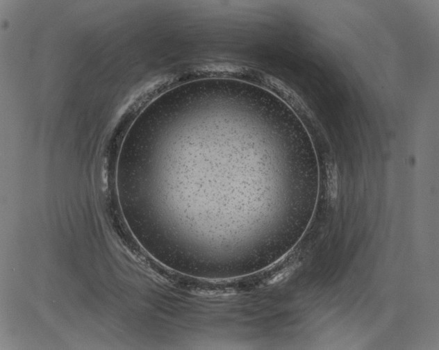 X0000082740731200702091902