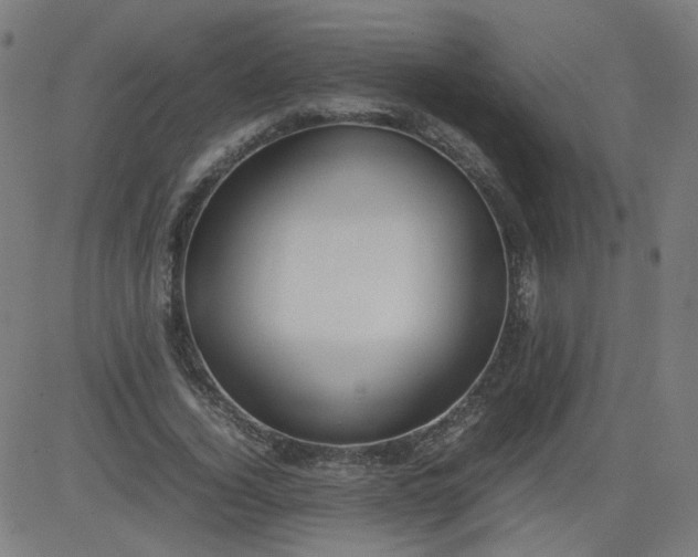 X0000082740732200702091902