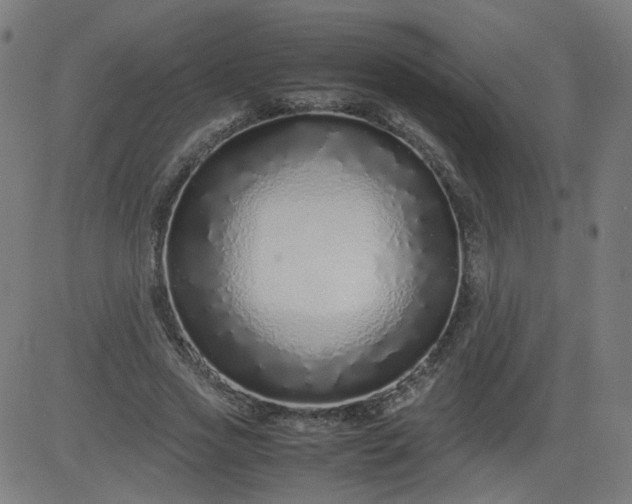 X0000082740733200702091903