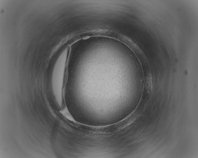 X0000082740734200702091903