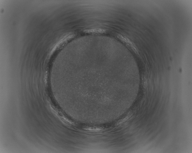 X0000082740735200702091903