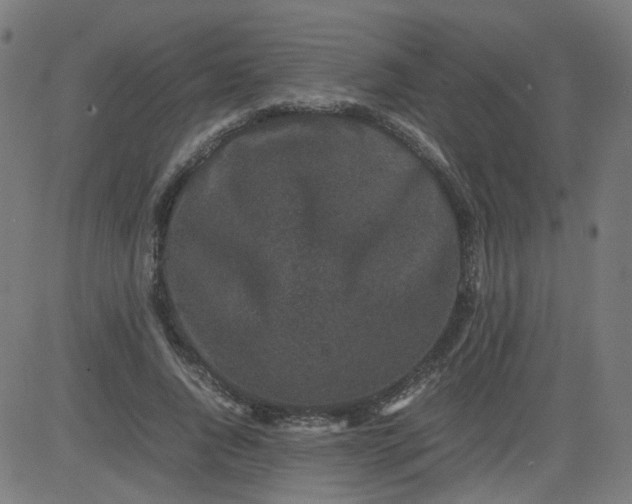 X0000082740736200702091903