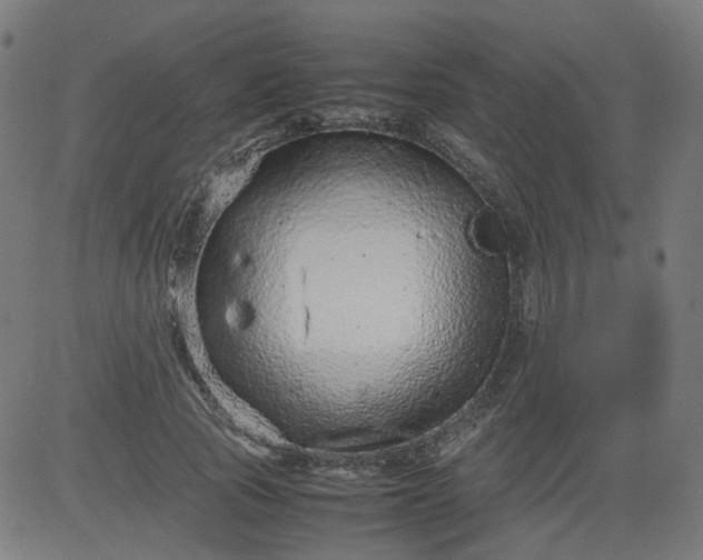 X0000082740737200702091903