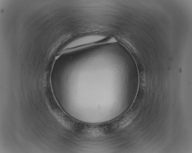 X0000082740738200702091903