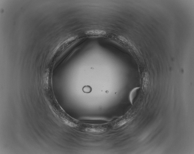 X0000082740739200702091903