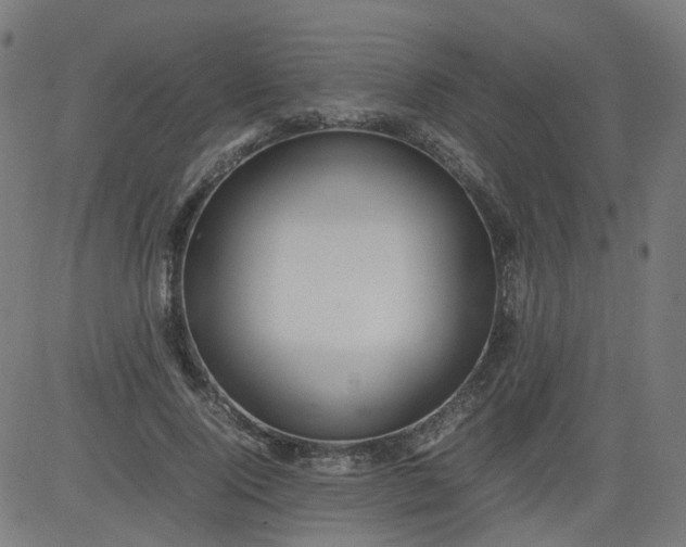 X0000082740740200702091903