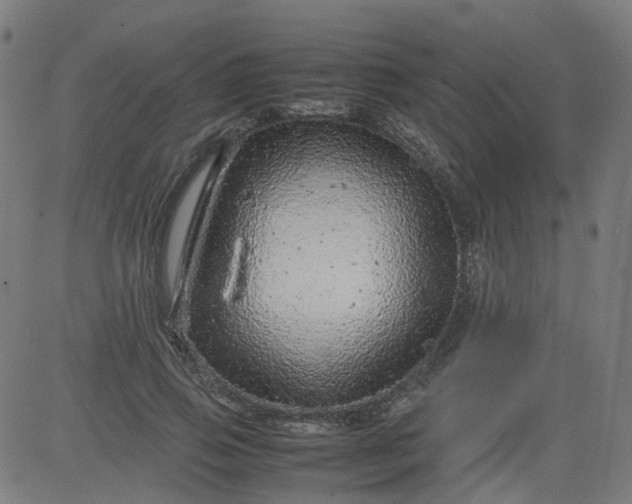 X0000082740741200702091903