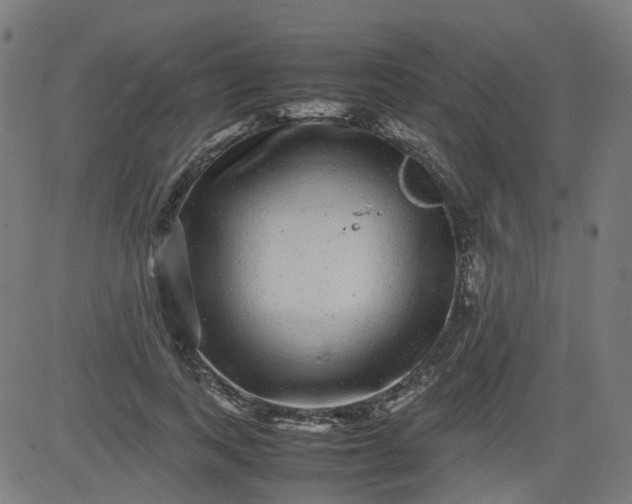 X0000082740743200702091903