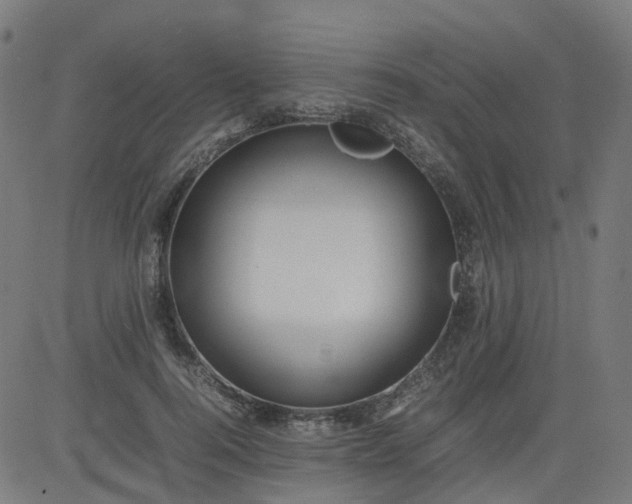 X0000082740744200702091903