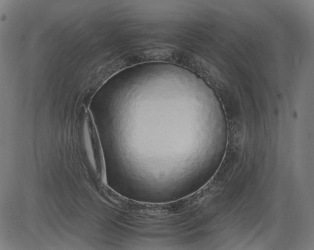 X0000082740745200702091903