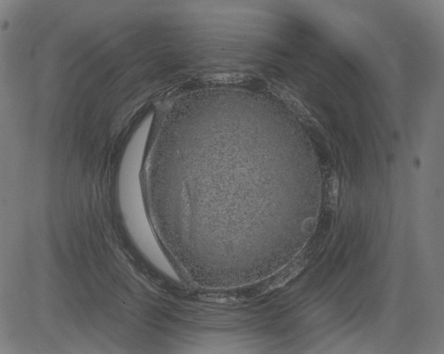 X0000082740746200702091903