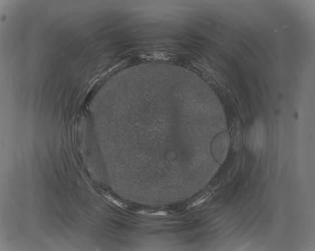 X0000082740747200702091903