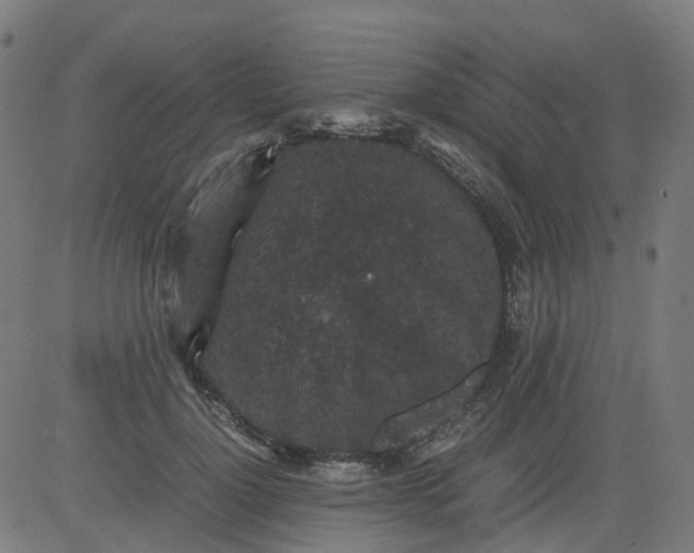 X0000082740748200702091903