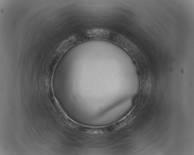 X0000082740749200702091903